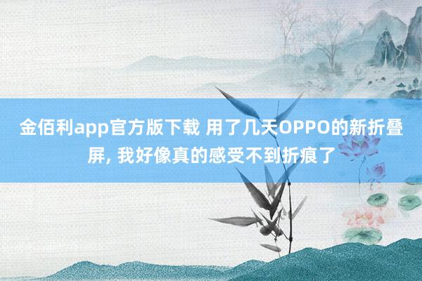 金佰利app官方版下载 用了几天OPPO的新折叠屏， 我好像真的感受不到折痕了