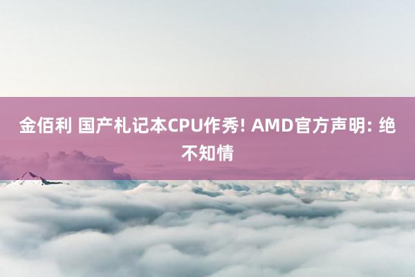 金佰利 国产札记本CPU作秀! AMD官方声明: 绝不知情