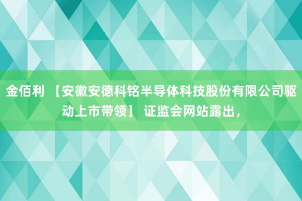 金佰利 【安徽安德科铭半导体科技股份有限公司驱动上市带领】 证监会网站露出，