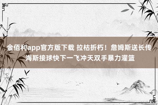 金佰利app官方版下载 拉枯折朽！詹姆斯送长传 海斯接球快下一飞冲天双手暴力灌篮