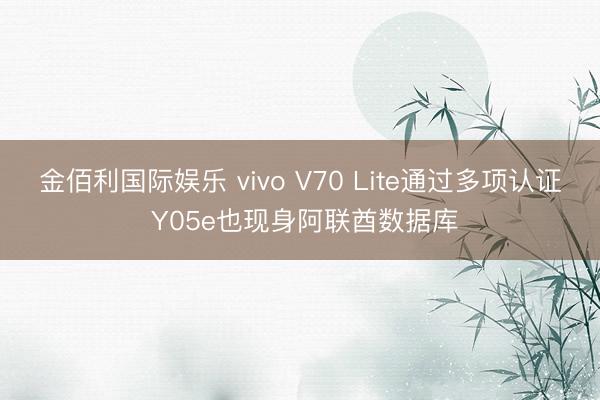 金佰利国际娱乐 vivo V70 Lite通过多项认证 Y05e也现身阿联酋数据库