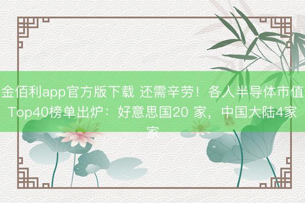金佰利app官方版下载 还需辛劳！各人半导体市值Top40榜单出炉：好意思国20 家，中国大陆4家