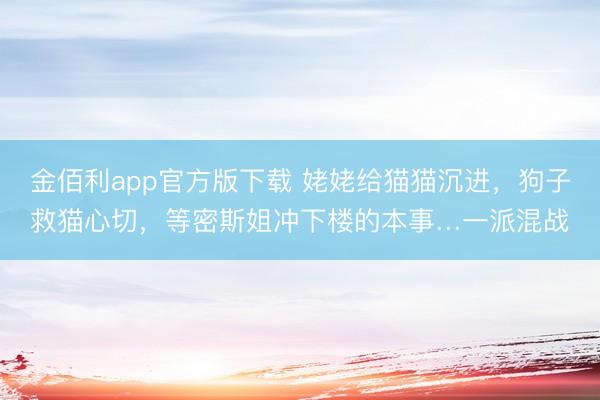 金佰利app官方版下载 姥姥给猫猫沉进,狗子救猫心切,等密斯姐冲下楼的本事…一派混战