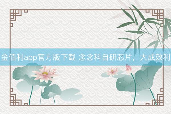 金佰利app官方版下载 念念科自研芯片，大成效利