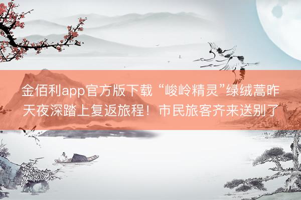 金佰利app官方版下载 “峻岭精灵”绿绒蒿昨天夜深踏上复返旅程！市民旅客齐来送别了