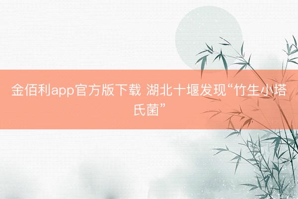 金佰利app官方版下载 湖北十堰发现“竹生小塔氏菌”